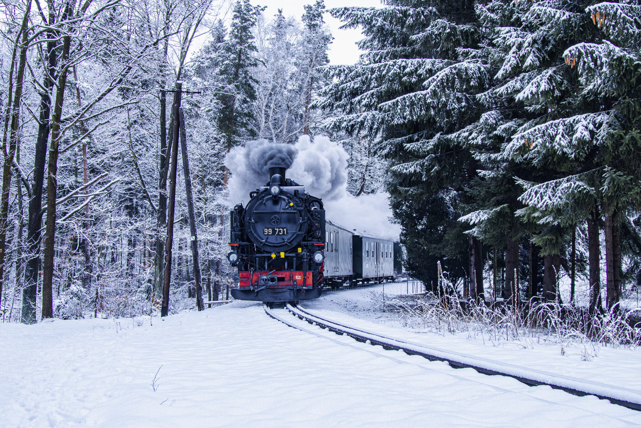 Hauptsaison in den Winterferien von Brandenburg und Sachsen  Zittauer Schmalspurbahn